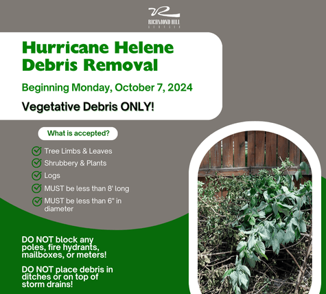 Helene Debris Removal news