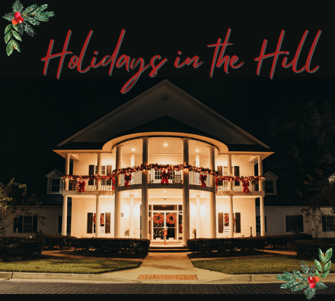 Holidays in the Hill